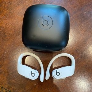 Powerbeats Pro wireless ear buds (gently used)
